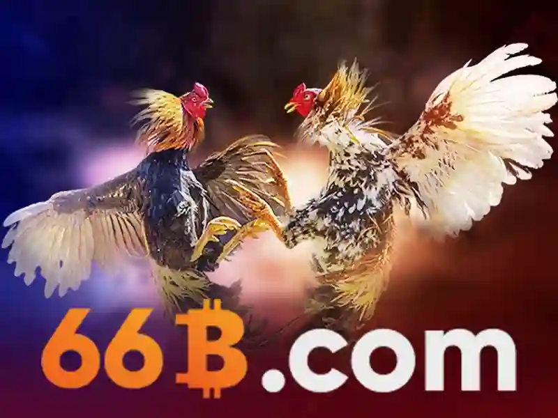 Ưu Điểm Nổi Bật Của 66B