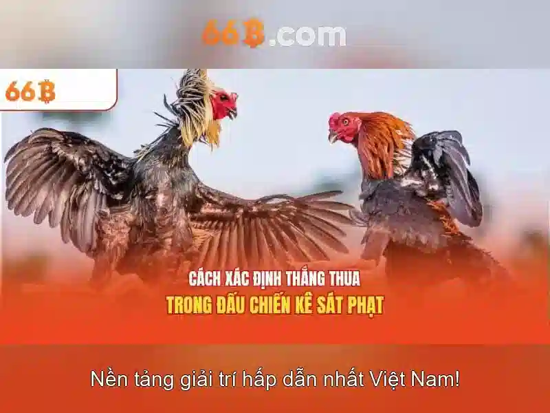 nạp tiền 66B